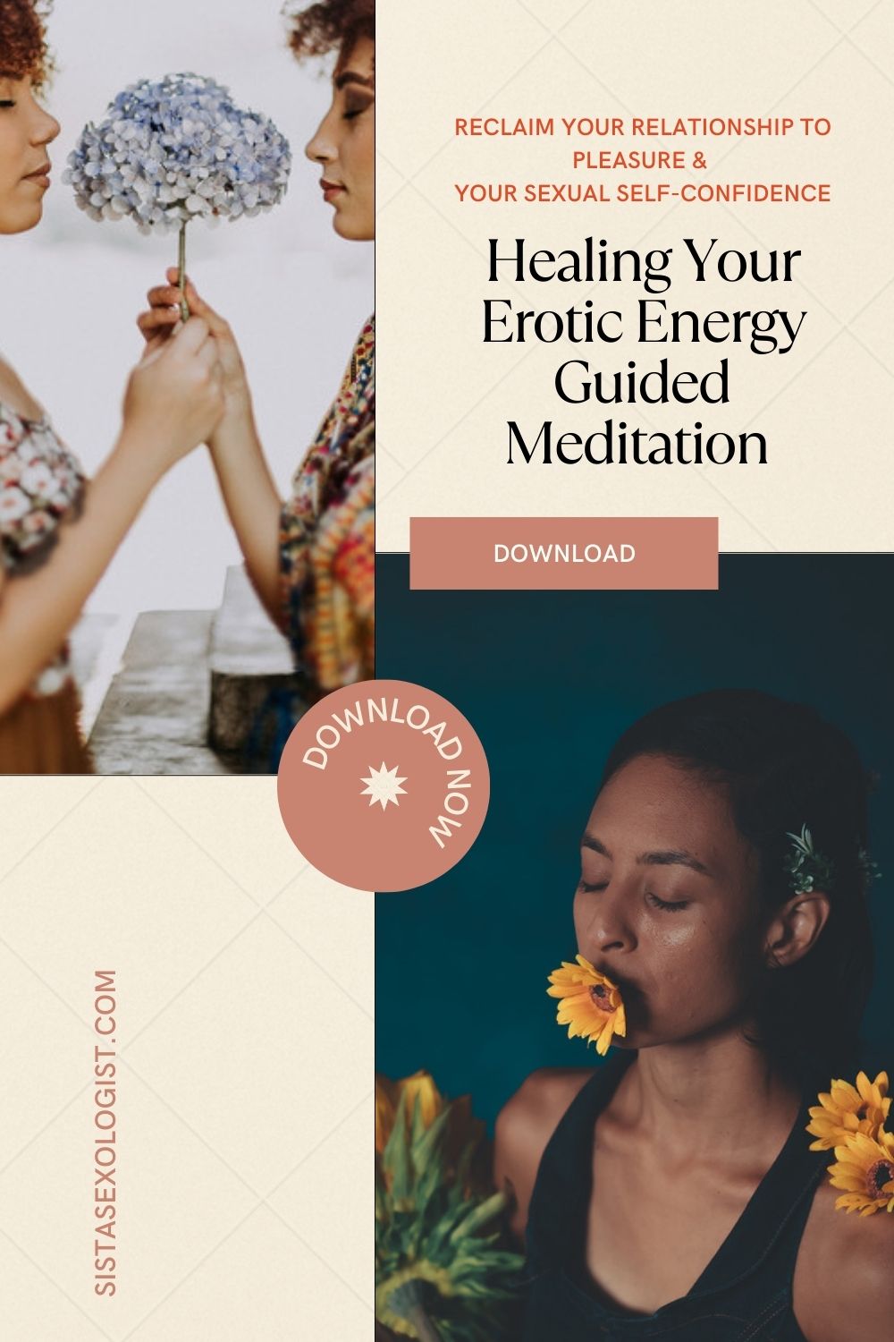 The Other EQ Healing Bundle : SHIFT Somatic Healing and Healing The Erotic Self Digital Workbooks & Guided Meditations